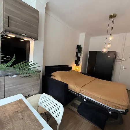 Large Very Close To La Croisette And Beaches